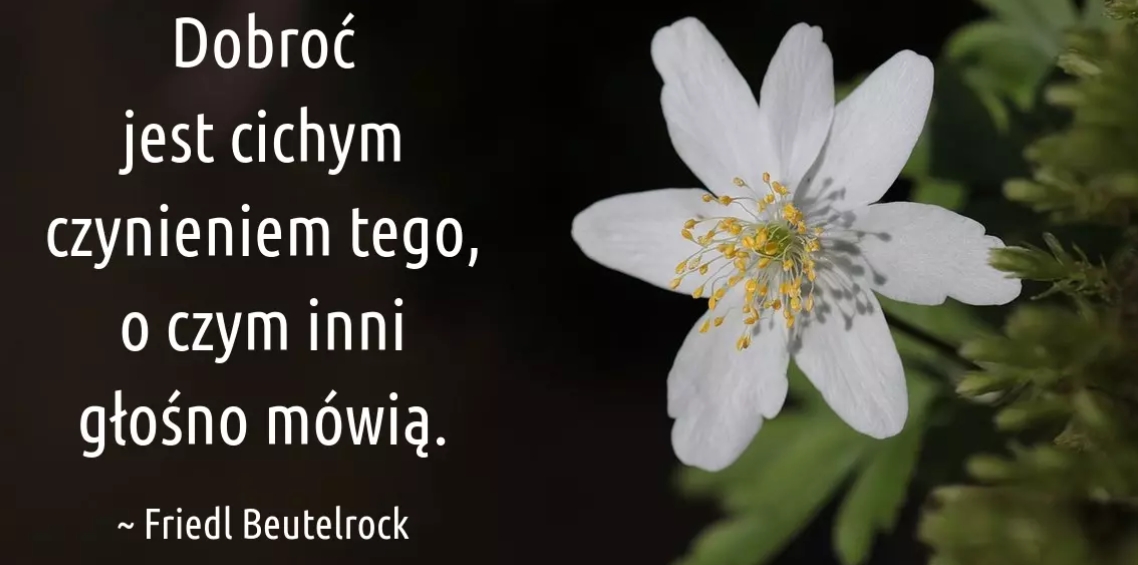 obrazek przedstawiający biały kwiat na czarnym polu z napisem dobroć jest cichym czynieniem tego, o czym inni głośno mówią. Friedl Beutelrock