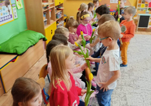 chłopcy wręczają tulipany dziewczynom