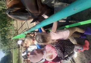 Dzieci głaszczą konie