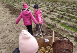 dwie dziewczynki ciągną wózek z ziemniakami
