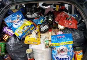 jedzenie dla psów zapakowane do bagażnika samochodu