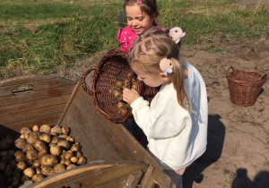 Dwie dziewczynki wysypują ziemniaki z koszyka.