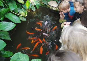 Dzieci karmią rybki.