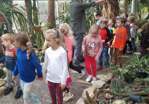 Dzieci podziwiają kaktusy.